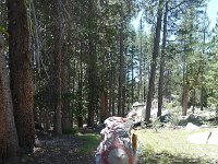 YosemiteCreek 009 : YosemiteCreek